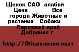 Щенок САО (алабай) › Цена ­ 10 000 - Все города Животные и растения » Собаки   . Пермский край,Добрянка г.